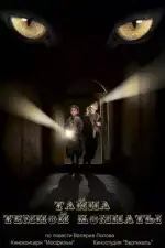 Постер трейлера: Тайна темной комнаты