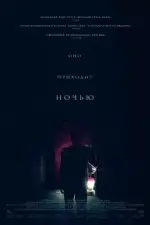 Постер трейлера: Оно приходит ночью