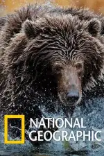 Постер фильма: National Geographic. Империя гризли