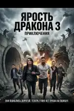Постер фильма: Ярость дракона 3