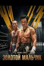 Постер фильма: Золотой мальчик